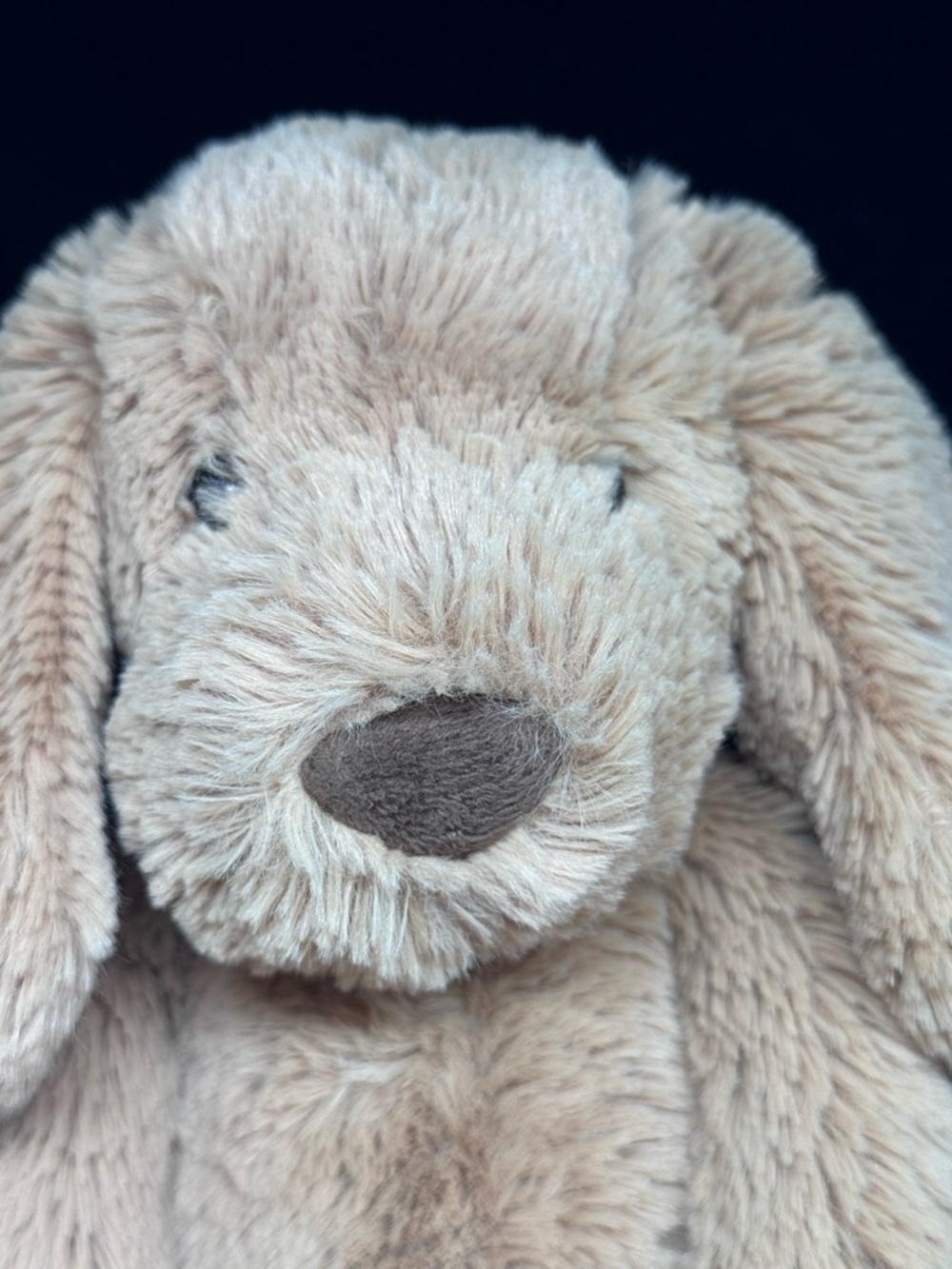 JELLYCAT - Bashful Toffee Puppy Dog Plush Toy - 12” - Picture 2 of 8
